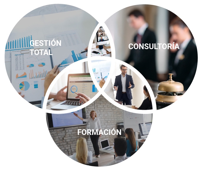 Nuestros servicios